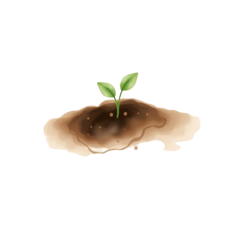 A delicate sprout growing from rich soil